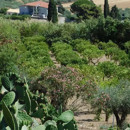 La Pinetina * Valderice